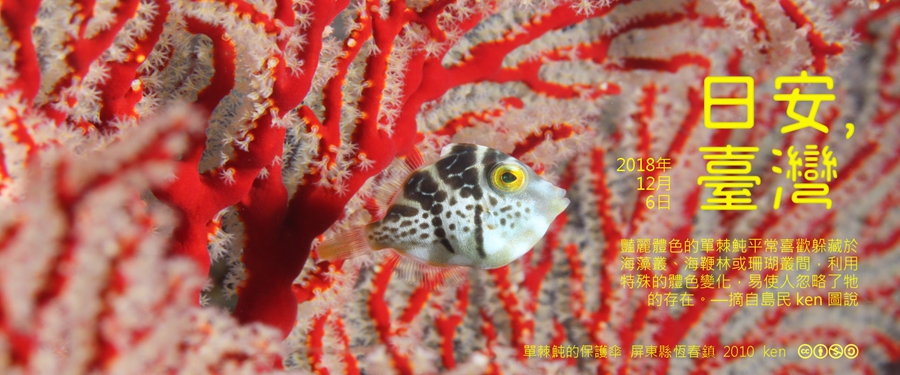 365 日安，臺灣之2018年12月6日